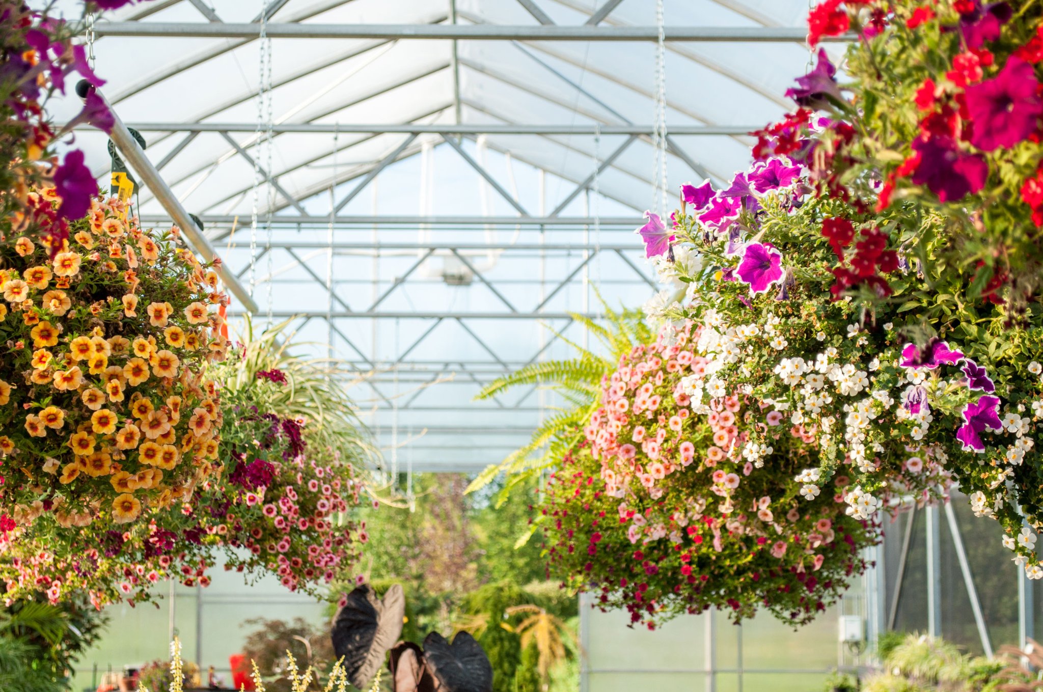 Sundown Gardens