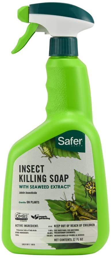Safer Brand Insect Killing Soap