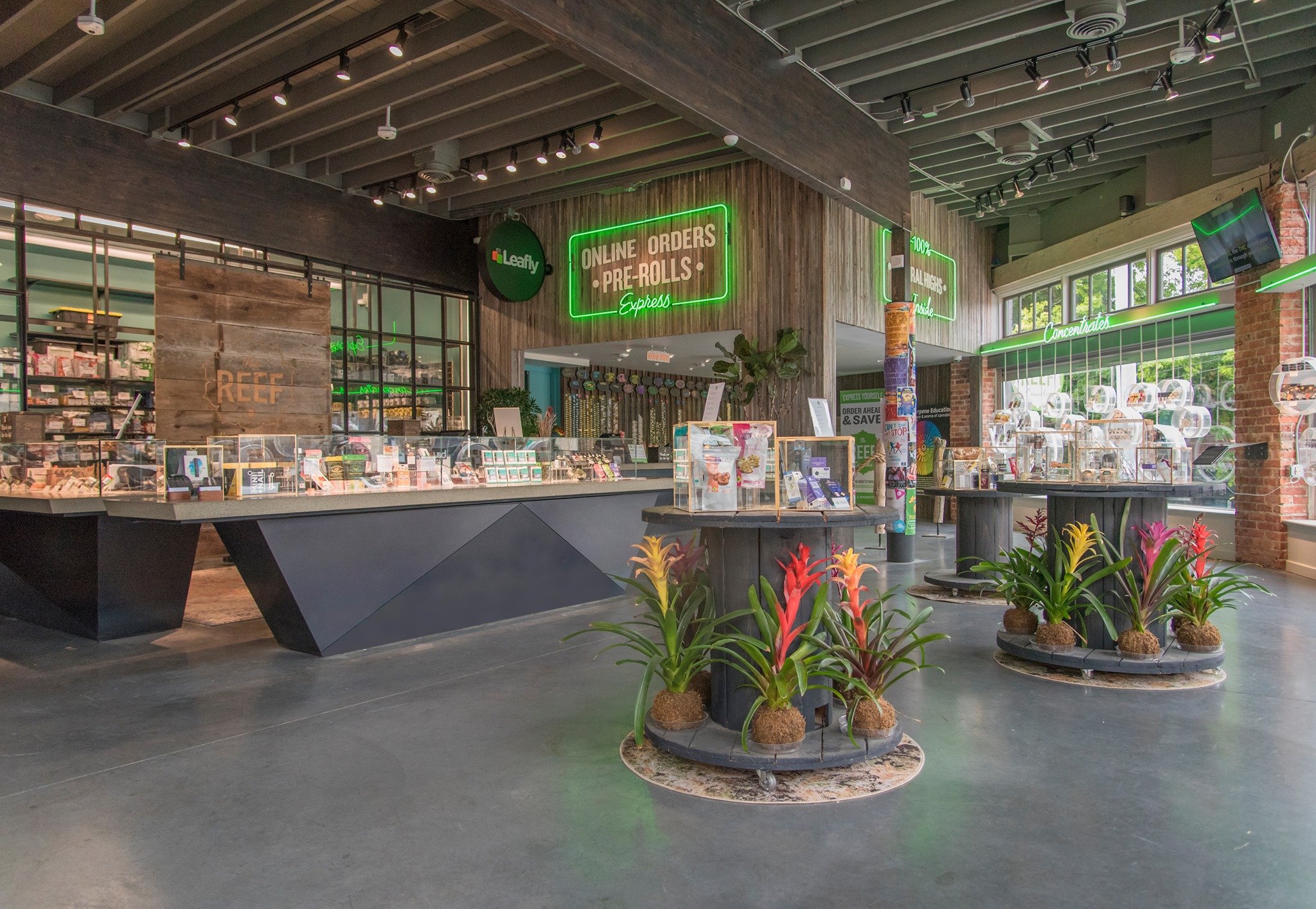 The Reef - Seattle