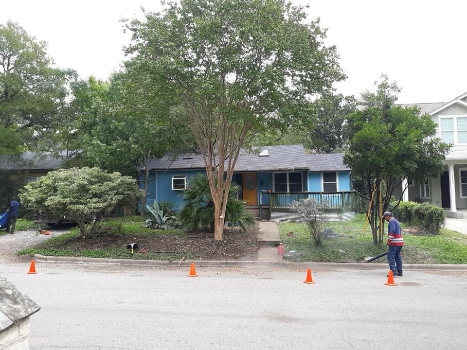 Sid Mourning Tree Service