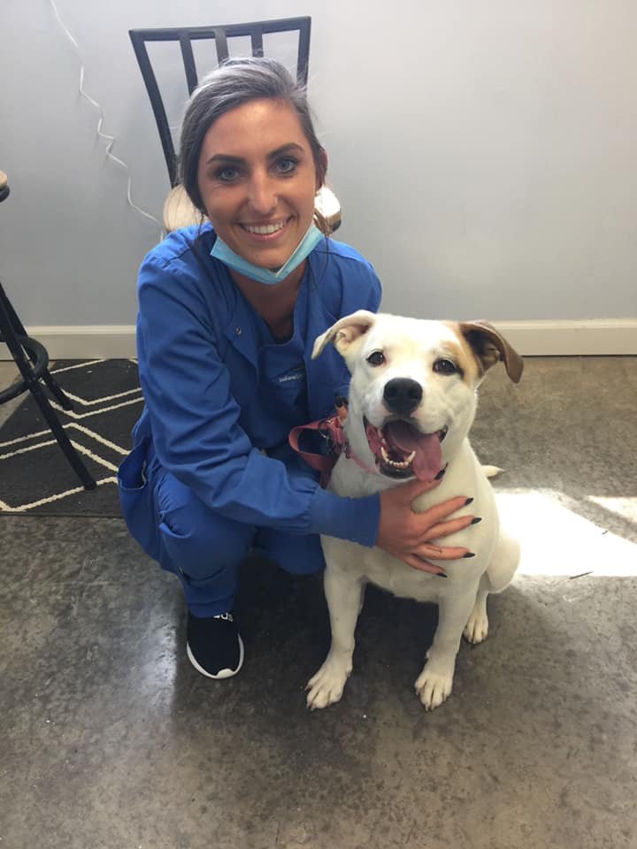 Animal Rescue Fund