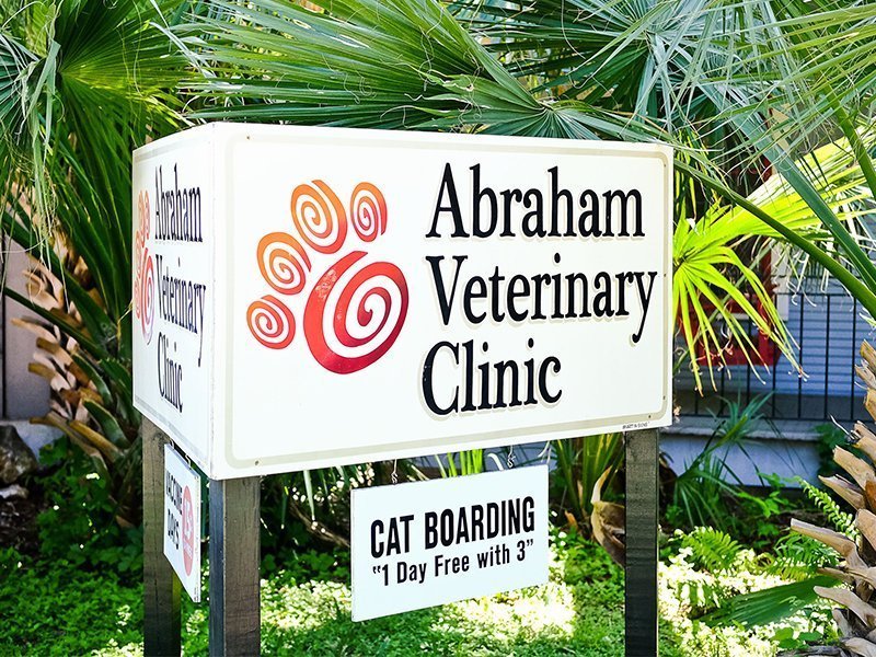 Abraham Veterinary Clinic