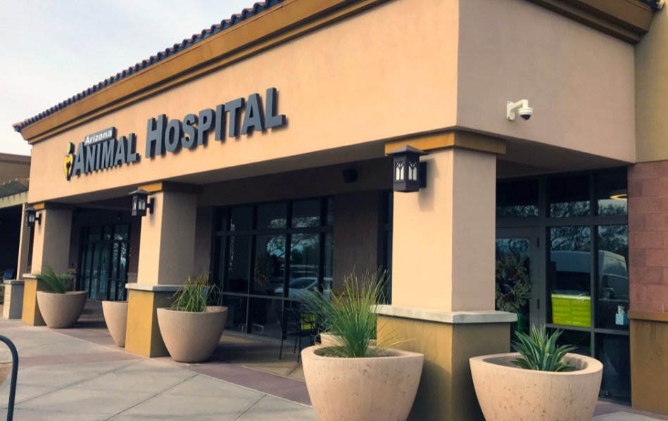 Arizona Animal Hospital
