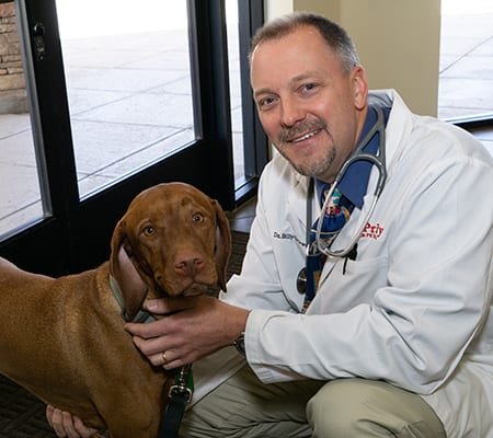 Priority Pet Hospital