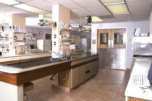 Apollo Animal Hospital