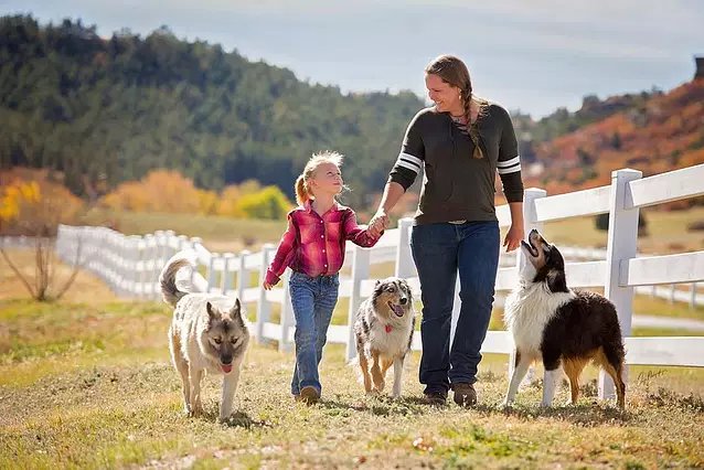 Terroux Dog Training