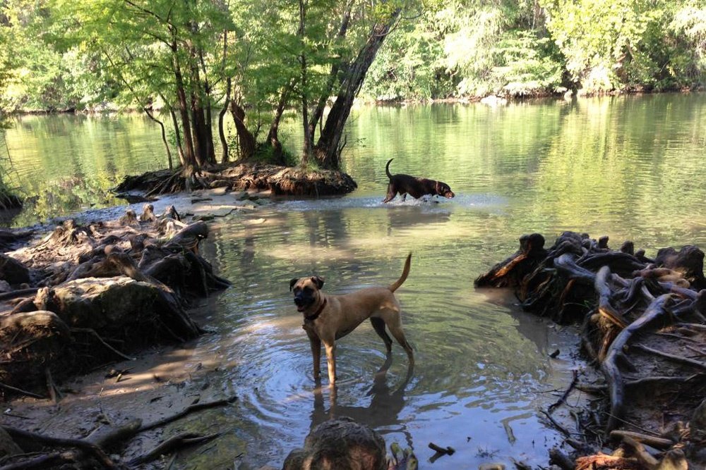 Red Bud Isle