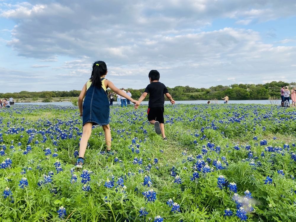 Brushy Creek Lake Park