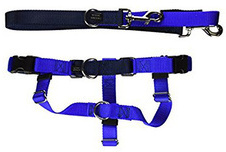 2 Hounds Design Freedom No Pull Dog Harness