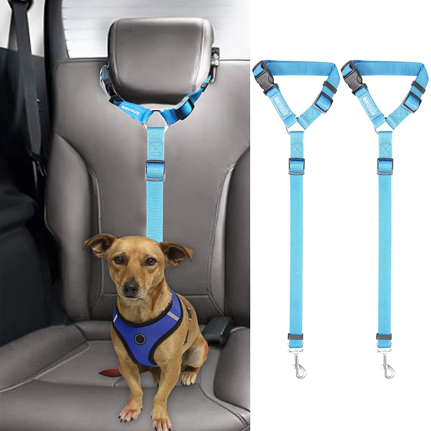 Dog Seat Belt