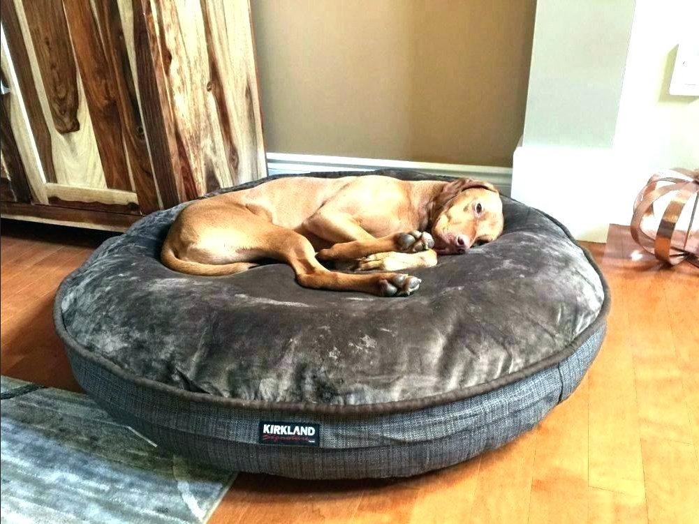 Kirkland Signature Pet Bed
