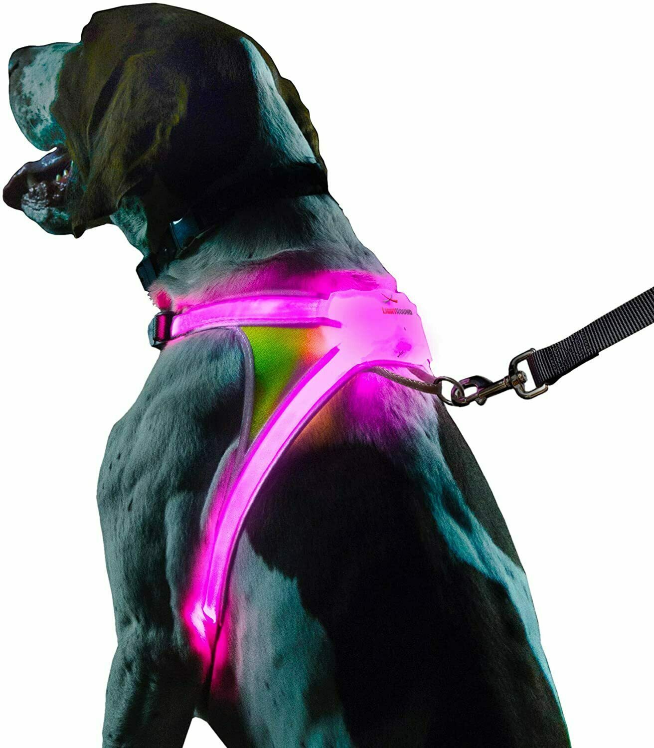 Noxgear Lighthound Dog Vest