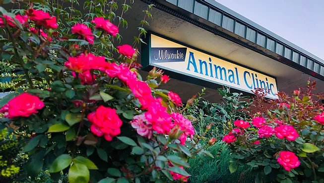 Milwaukie Animal Clinic