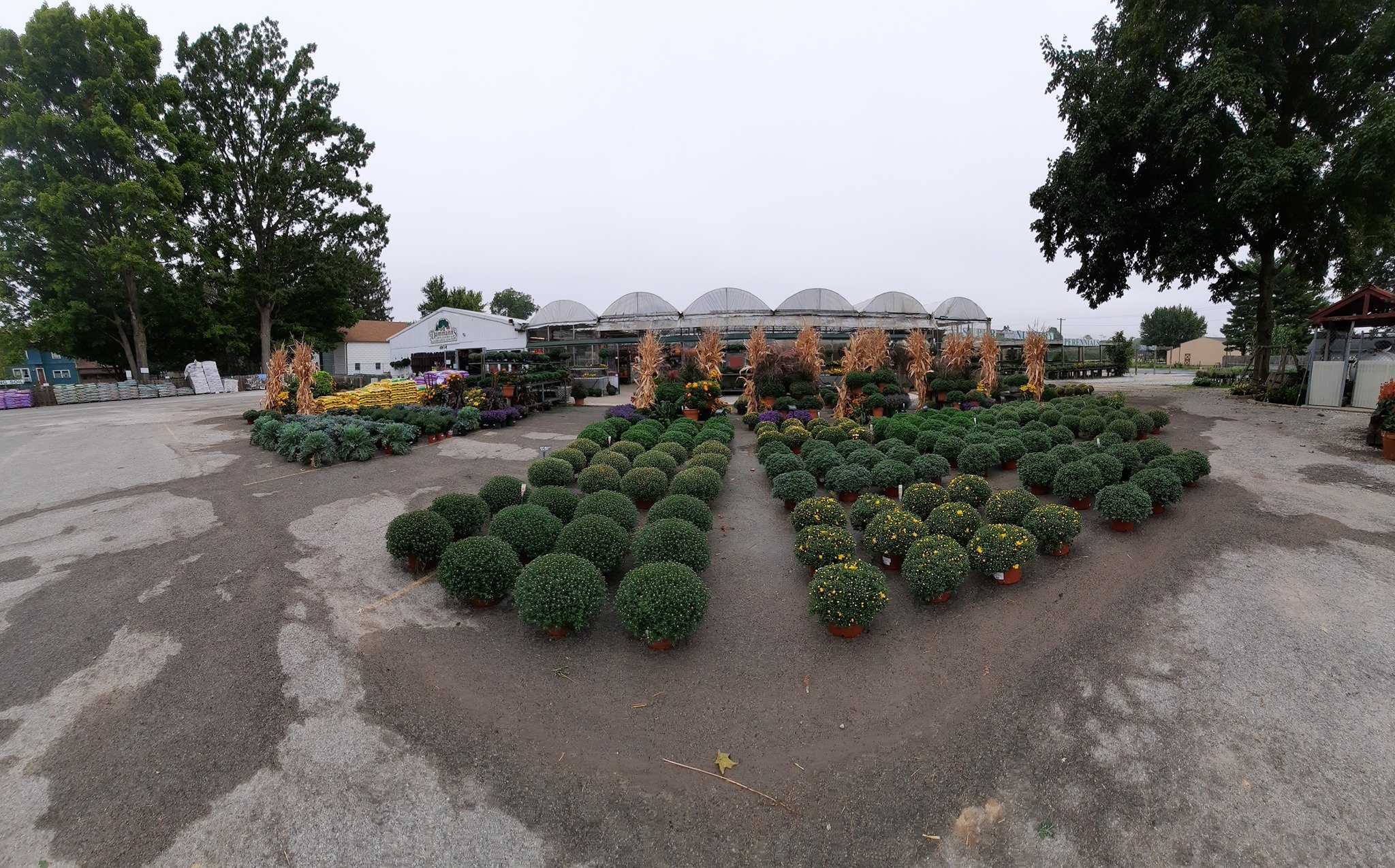 Dammann's Lawn & Garden Center