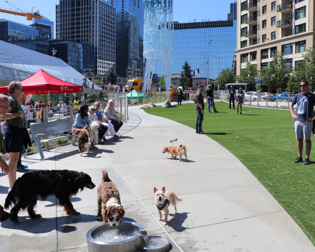 Denny Substation Dog Park