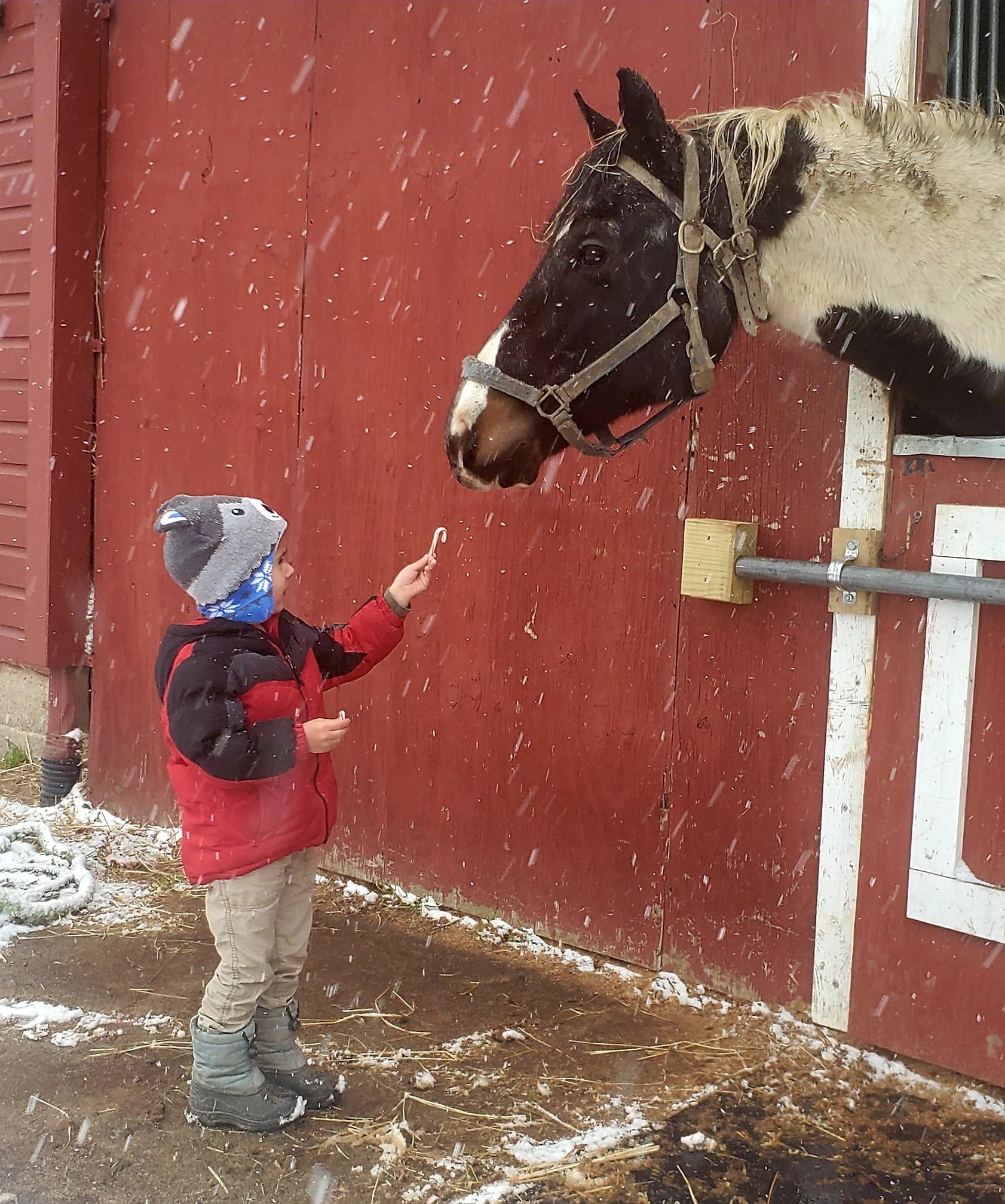 The Children's Farm