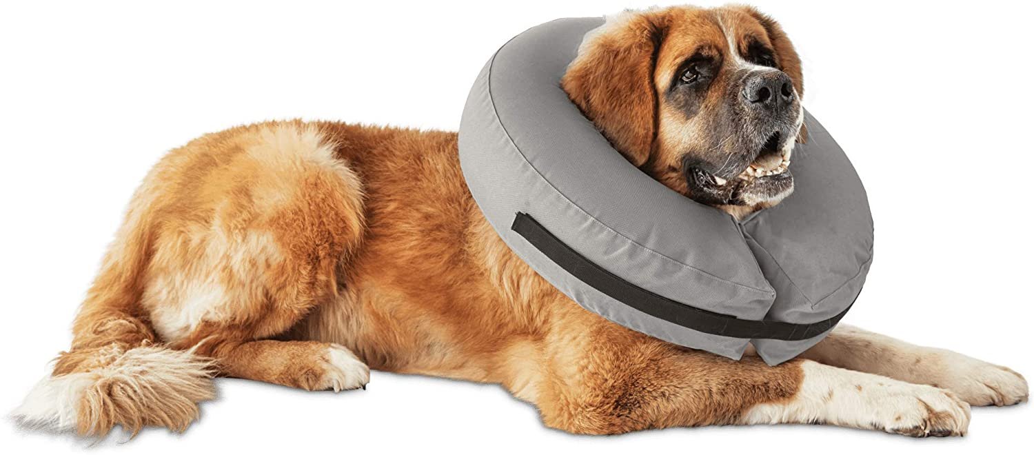 Well & outlet good inflatable collar