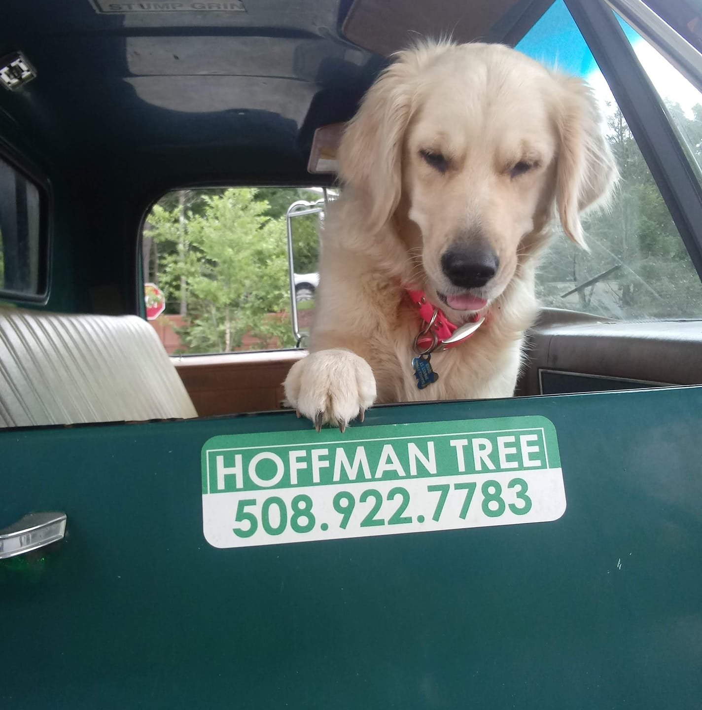 Hoffman Tree Service