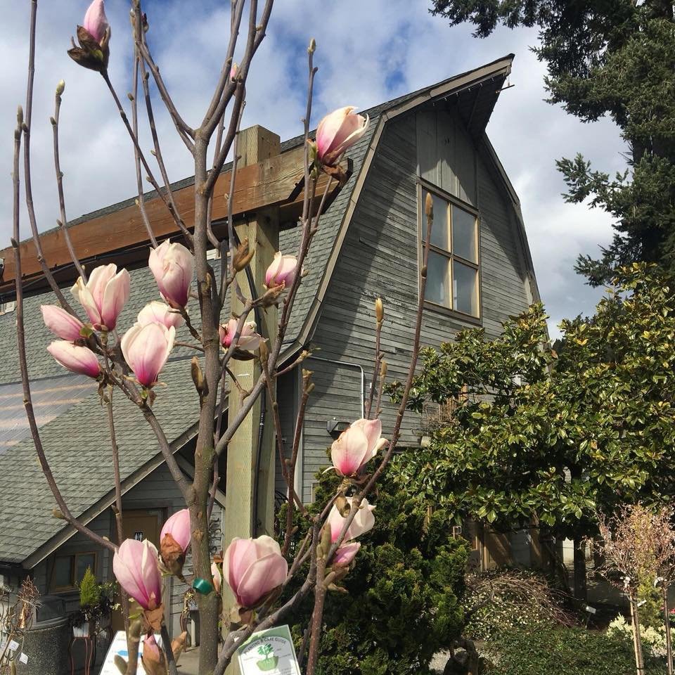 Gray Barn Nursery