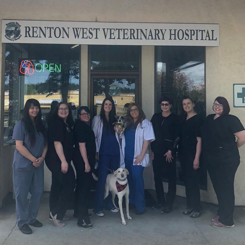 Renton West Veterinary Hospital