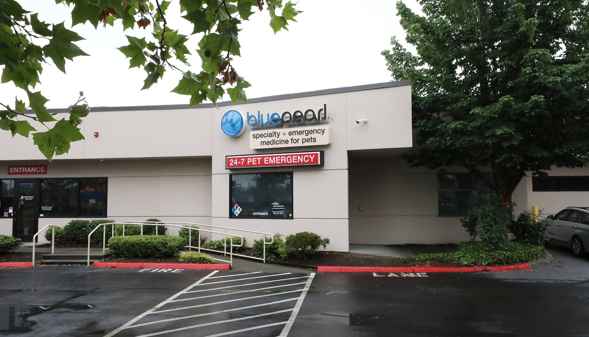 Blue pearl best sale vet hospital