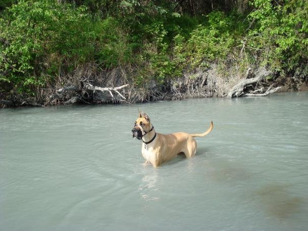 Cherry Creek State Park- Off Leash Dog Area