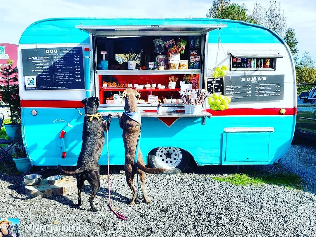 The Seattle Barkery