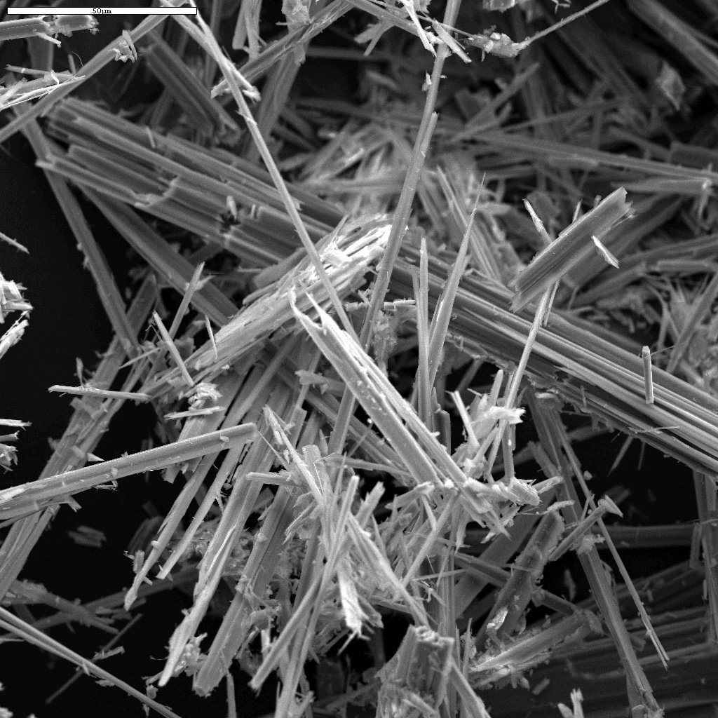 Washington Asbestos Testing LLC