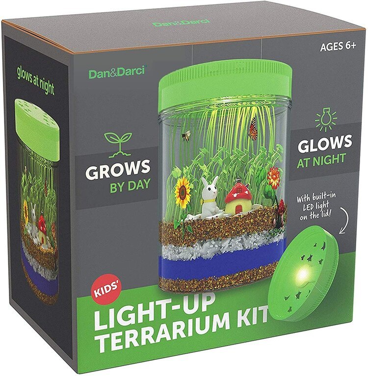 Dan and Darci Light Up Terrarium