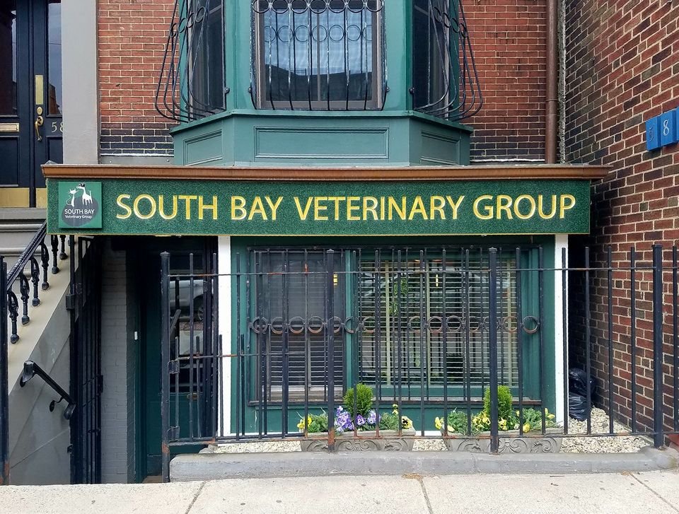 South Bay Veterinary Group