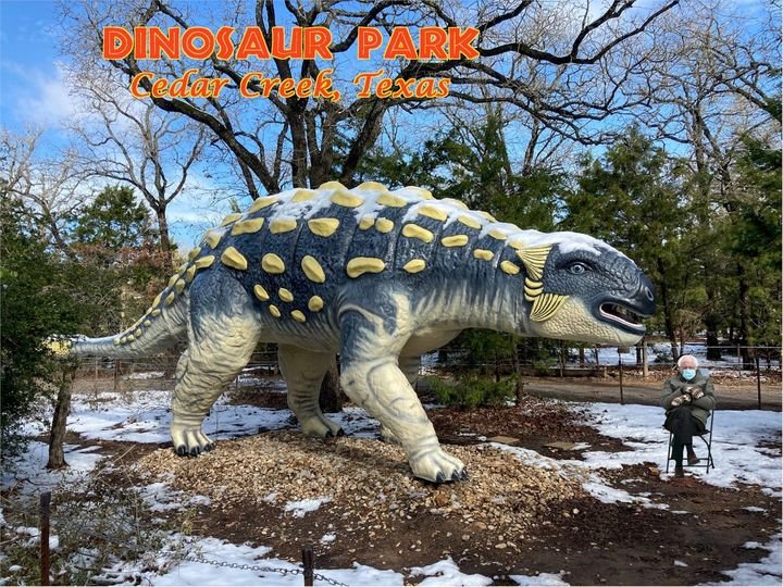 The Dinosaur Park