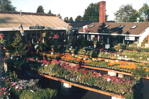 Swansons Nursery