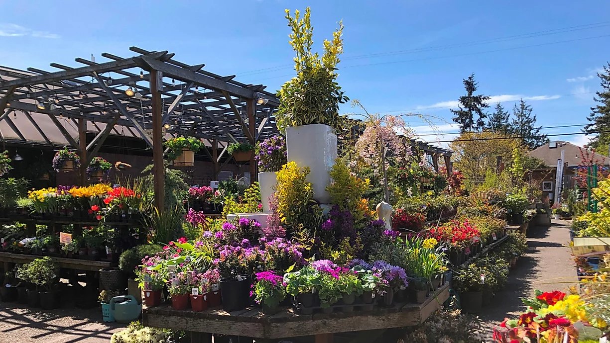 West Seattle Nursery and Garden Center