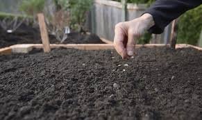 Cedar Grove Composting