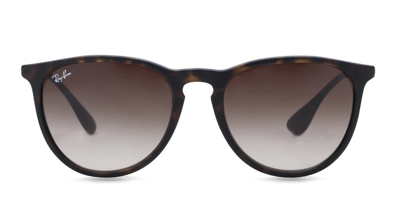 Ray Ban 4171 Erika