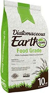 Diatomaceous Earth