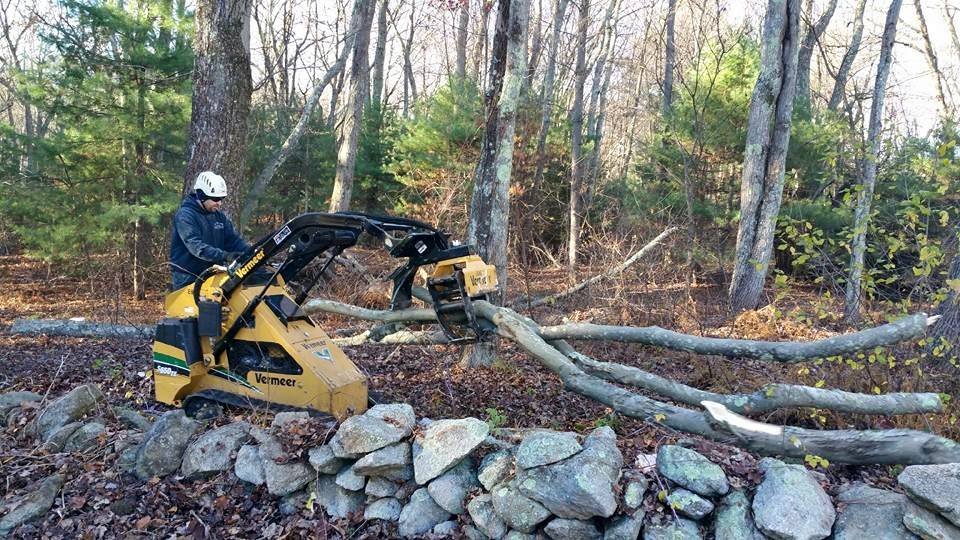 On A Limb Tree Service