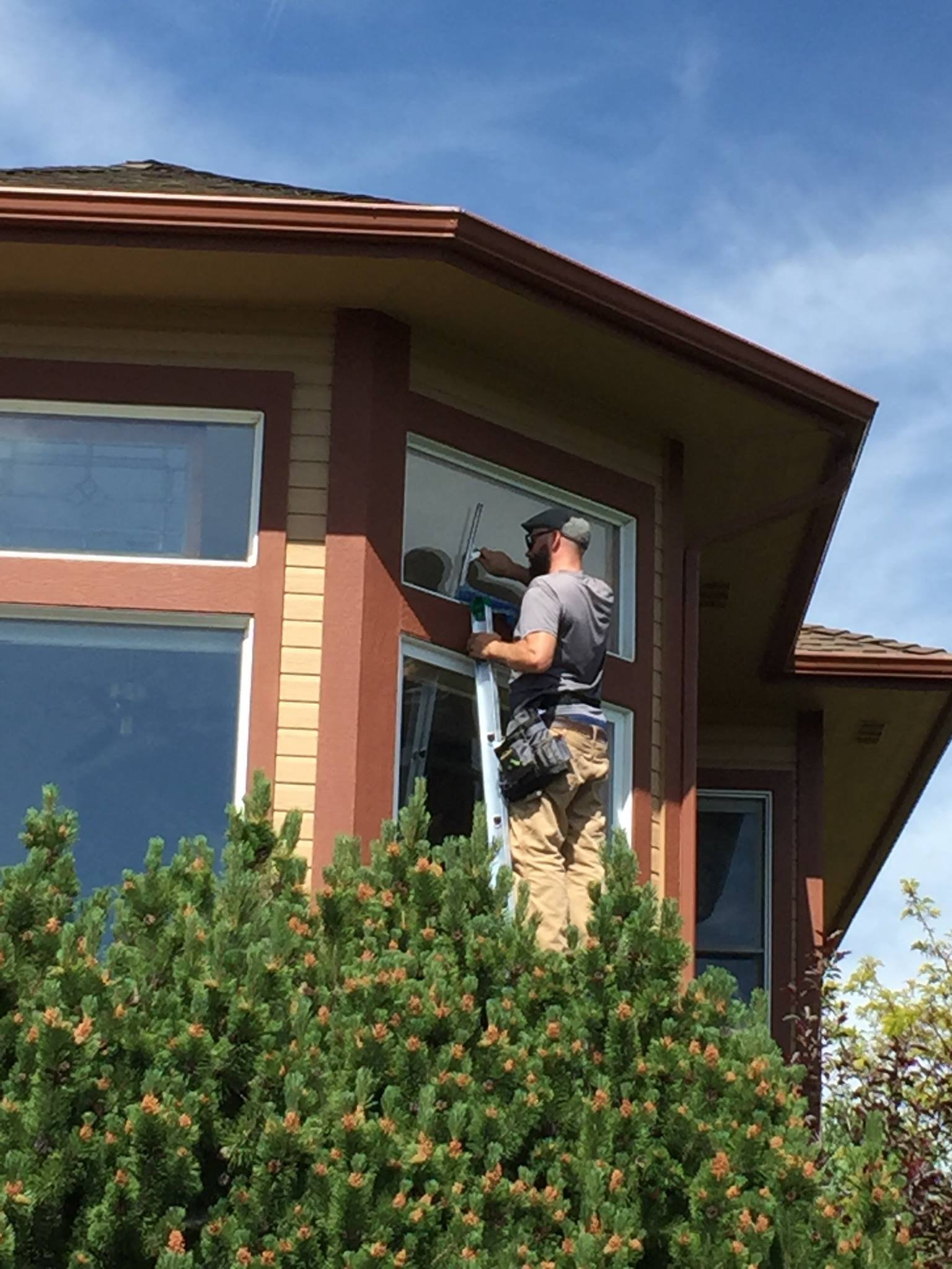 Radiant Window Cleaning