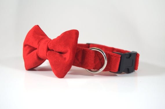 Dapper Gents Red Velvet Collar With Bow Tie