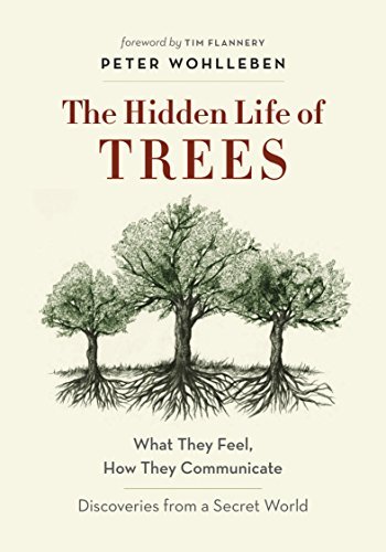 The Hidden Life of Trees