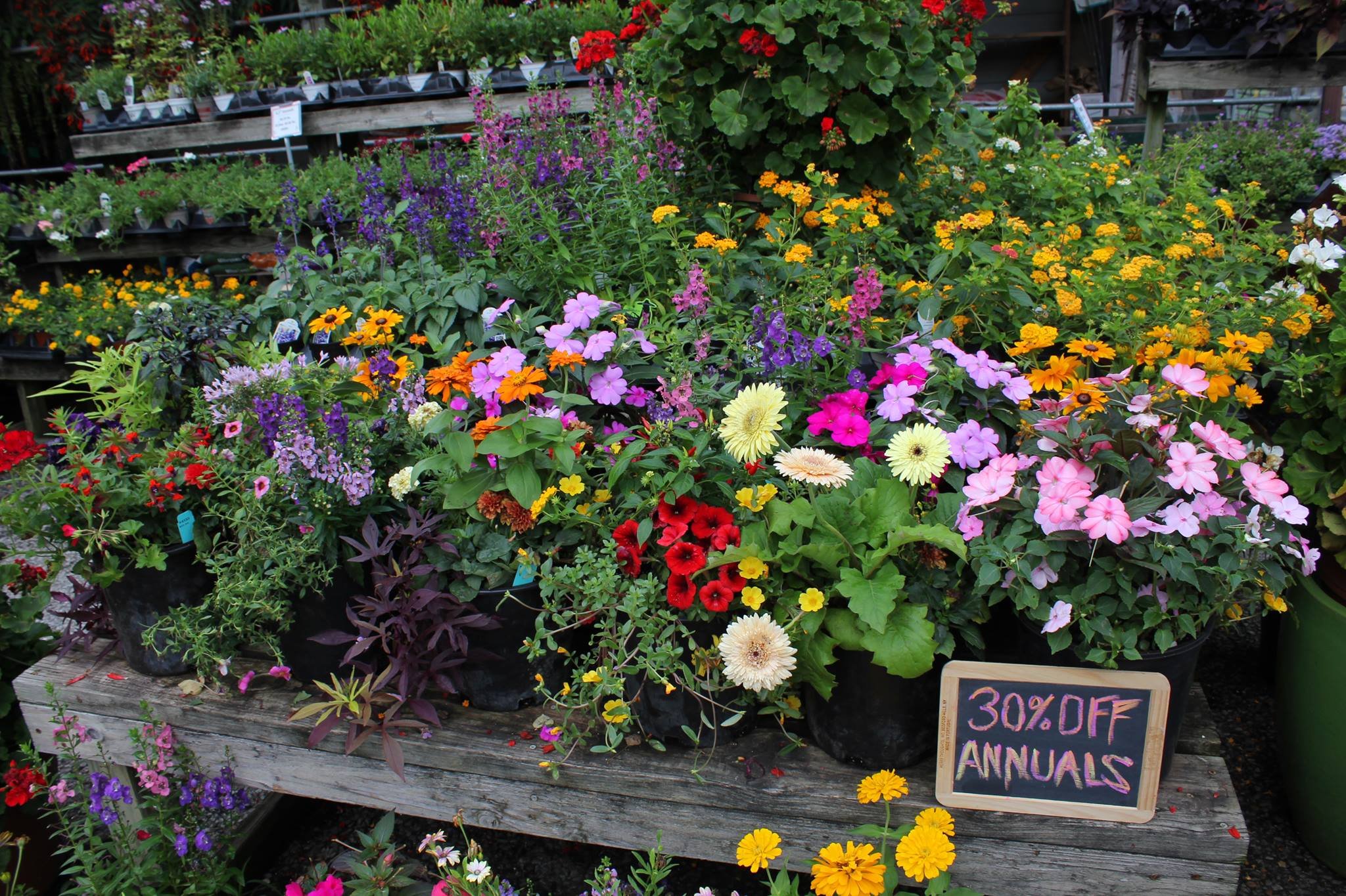 Eagle Creek Nursery & Landscape