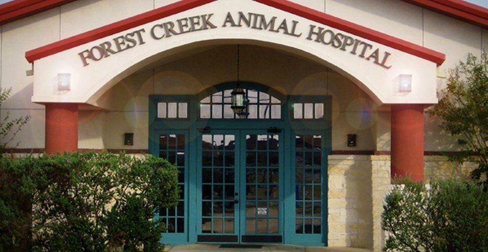 Forest Creek Animal Hospital