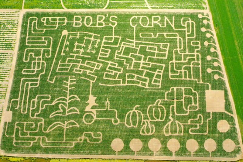 Bob's Corn and Pumpkin Farm