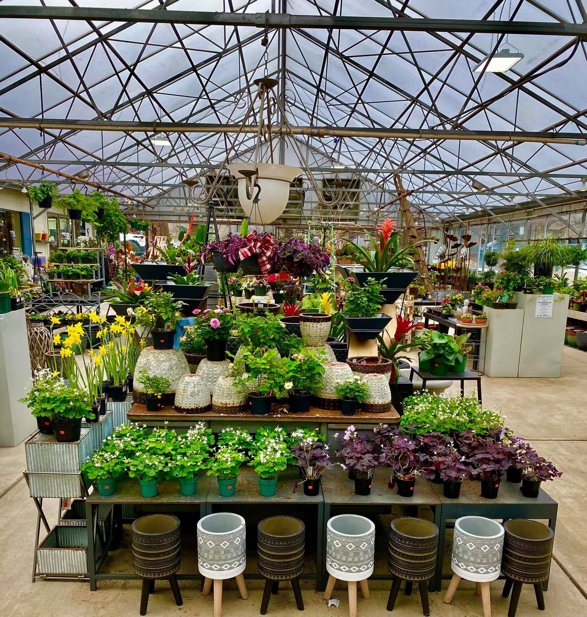 Lafayette Florist Gift Shop & Garden Ctr