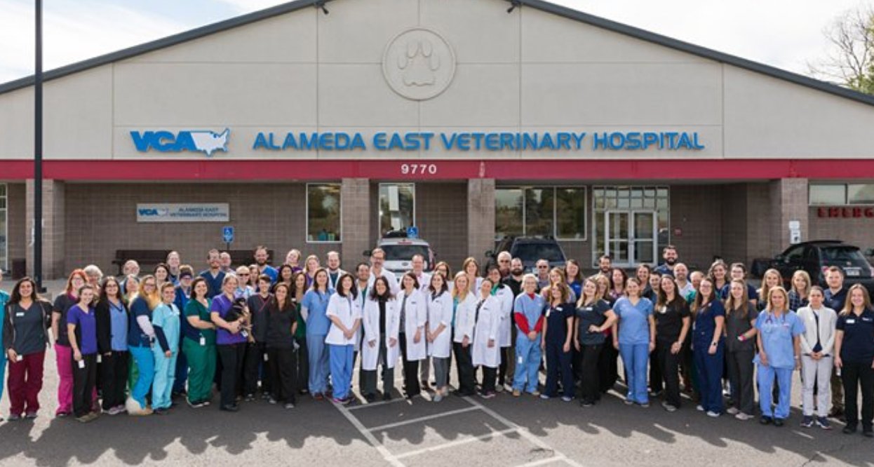 VCA Alameda East Veterinary Hospital