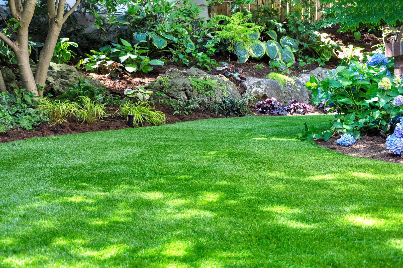 Washington Tree & Lawn Care