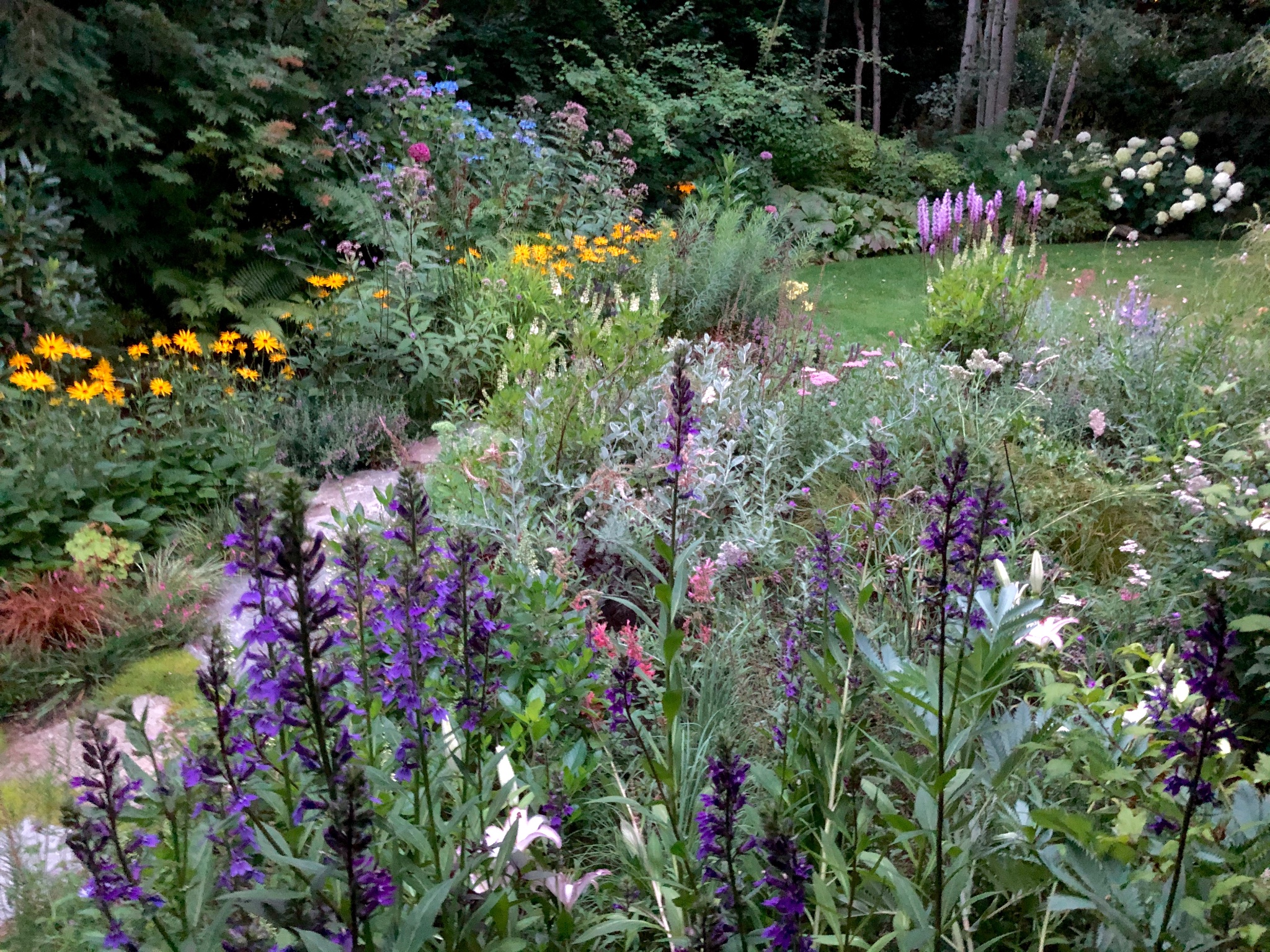 Peter Lavagnino Garden Design and Management