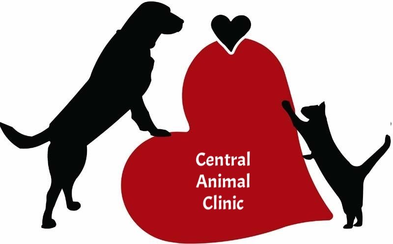 Central Animal Clinic