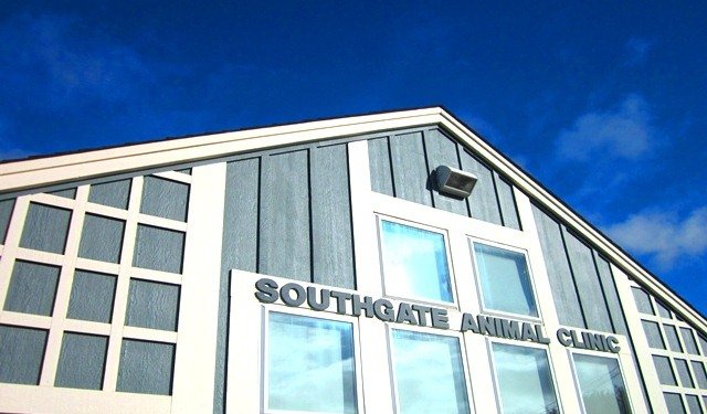Southgate Animal Clinic