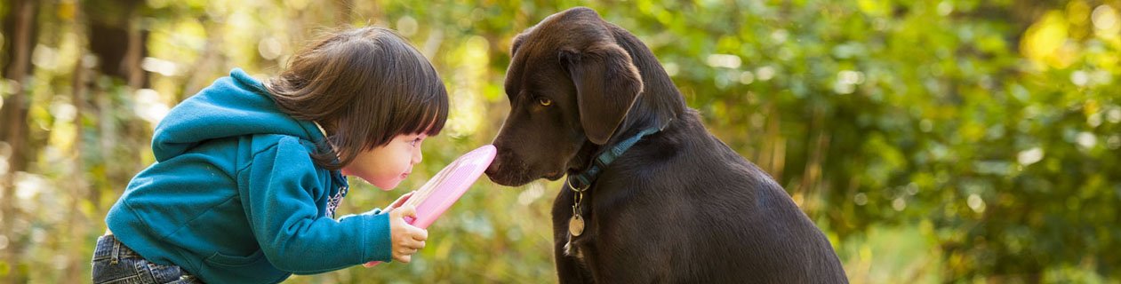 Snoqualmie Valley Animal Hospital